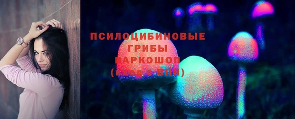 спиды Арсеньев