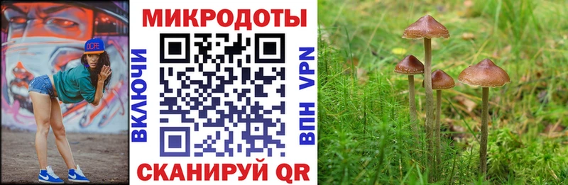 Галлюциногенные грибы мицелий  цена   Ейск 