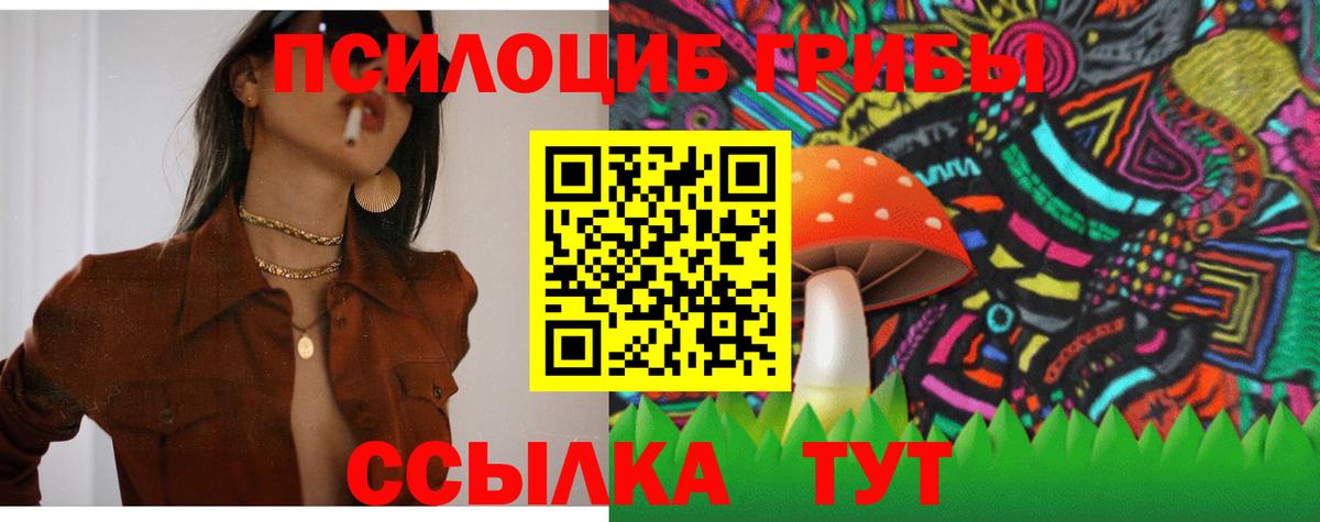 Псилоцибиновые грибы GOLDEN TEACHER  Галлюциногенные грибы GOLDEN TEACHER  Ейск  наркота  Вход с VPN 