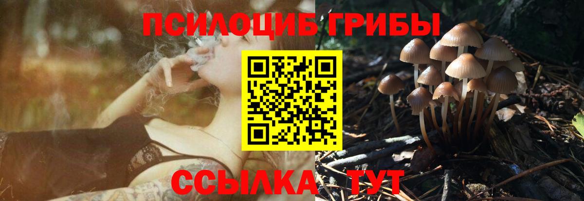 Псилоцибиновые грибы MAGIC MUSHROOMS Ейск